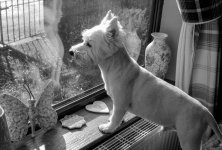 1927_T50_stereo beam splitter-004.JPG