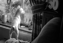 1927_T50_stereo beam splitter-007.JPG