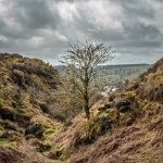 013 Chaw Gully 02-8380 PS Adj.JPG 013 Chaw Gully 02-8380 PS Adj.JPG