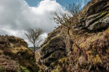 016 Chaw Gully 05-8385 PS Adj.JPG 016 Chaw Gully 05-8385 PS Adj.JPG