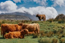 The Mournes.jpg The Mournes.jpg