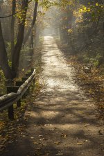 DSC04027 (2).jpg DSC04027 (2).jpg