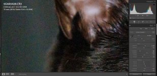 Screenshot 2024-04-16 234410.jpg