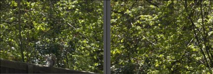 Screenshot 2024-04-17 at 20.07.29.jpg