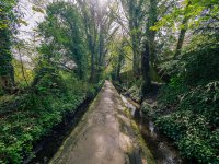 Hakkas-Brook-8mm.jpg Hakkas-Brook-8mm.jpg