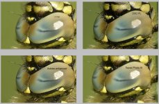 Noise comparison details.jpg