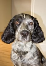 DSC00033-Enhanced-NR.jpg DSC00033-Enhanced-NR.jpg