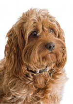 DSC00039-Enhanced-NR.jpg DSC00039-Enhanced-NR.jpg