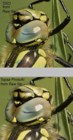 NoiseComparisonDXOvsTopazfromERaw.jpg