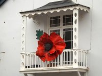 Giant poppy on balcony Sidmouth SL300 DSCF3623.JPG Giant poppy on balcony Sidmouth SL300 DSCF3623.JPG
