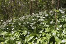 DSC05371.jpg DSC05371.jpg