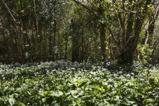 DSC05417.jpg DSC05417.jpg