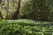 DSC05418.jpg DSC05418.jpg