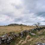 007 Combshead Tor 01-000124760005 PS Adj.JPG