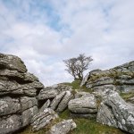 012 Combshead Tor 06-000124760001 PS Adj.JPG