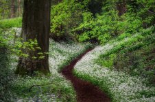 _z728028.jpeg _z728028.jpeg