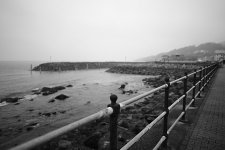 VENTNOR-4.jpg VENTNOR-4.jpg