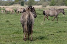 Week 18 - Straight (Ps).jpg