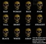 skulls.png