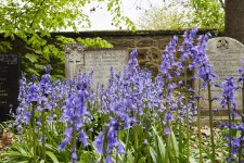 DSC05461-C.jpg DSC05461-C.jpg