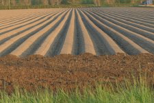 _7825924.jpg _7825924.jpg