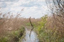 DPOY challenge - month 5 - Nature - copy.jpg DPOY challenge - month 5 - Nature - copy.jpg