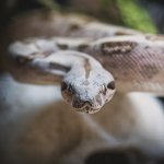 316F50EE-604F-49B2-B5D4-F060419CBB9B.jpeg 316F50EE-604F-49B2-B5D4-F060419CBB9B.jpeg