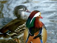 1 Nature.jpg 1 Nature.jpg