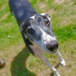 DSCF9389.jpeg DSCF9389.jpeg