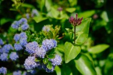 DSCF9385.jpeg DSCF9385.jpeg