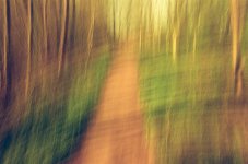 000097430030 Redscale path.jpg