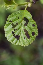 2024-Fradley Junction-014.jpg 2024-Fradley Junction-014.jpg