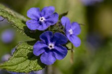 2024-Fradley Junction-022.jpg 2024-Fradley Junction-022.jpg