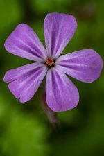 2024-Fradley Junction-028.jpg 2024-Fradley Junction-028.jpg