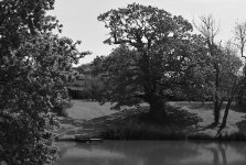 ENGLISH-LOW.jpg ENGLISH-LOW.jpg