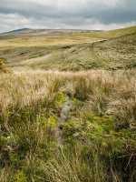 028 View of Shelstone Tor from Stream Head 01-8573 PS Adj.JPG 028 View of Shelstone Tor from Stream Head 01-8573 PS Adj.JPG