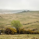 008 Shelstone Tor from Prewley Moor 05-8525 PS Adj.JPG