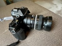 IMG_4684.jpg IMG_4684.jpg