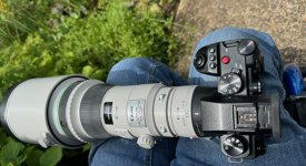 IMG_8071.jpeg IMG_8071.jpeg