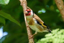 IMG_0718.jpeg IMG_0718.jpeg