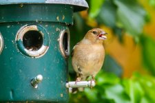 IMG_0719.jpeg IMG_0719.jpeg