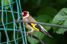 IMG_0720.jpeg IMG_0720.jpeg