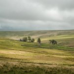 013 Ditsworthy Warren House 02-8613 PS Adj.JPG 013 Ditsworthy Warren House 02-8613 PS Adj.JPG