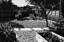 Garden tone test.jpg