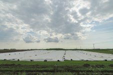 _7826334.jpg _7826334.jpg