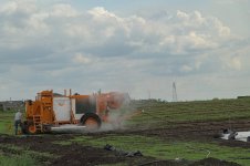 _7826335.jpg _7826335.jpg