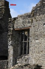 tn_IMG_8198200mm.jpg tn_IMG_8198200mm.jpg