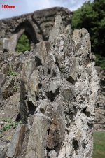 tn_IMG_8203100mm.jpg tn_IMG_8203100mm.jpg