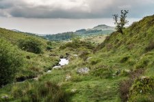 015 River Meavy Valley 02-2531 PS Adj.JPG 015 River Meavy Valley 02-2531 PS Adj.JPG