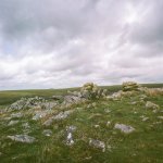 003 Legis Tor 40mm 01-000126590005 PS Adj.JPG